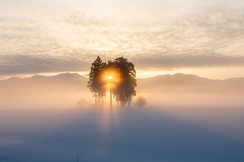 雪景色